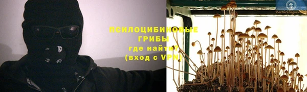 a pvp Алзамай